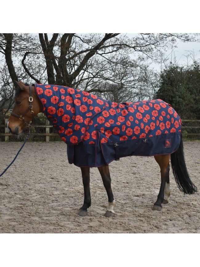 R423- Isla 200g Combo Turnout Rug with Fully Detachable Hood